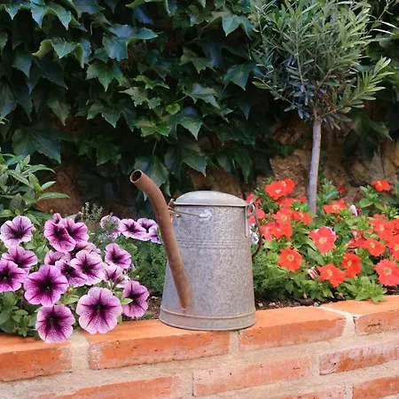 Vivienda Uso Turistico Buscando Lino